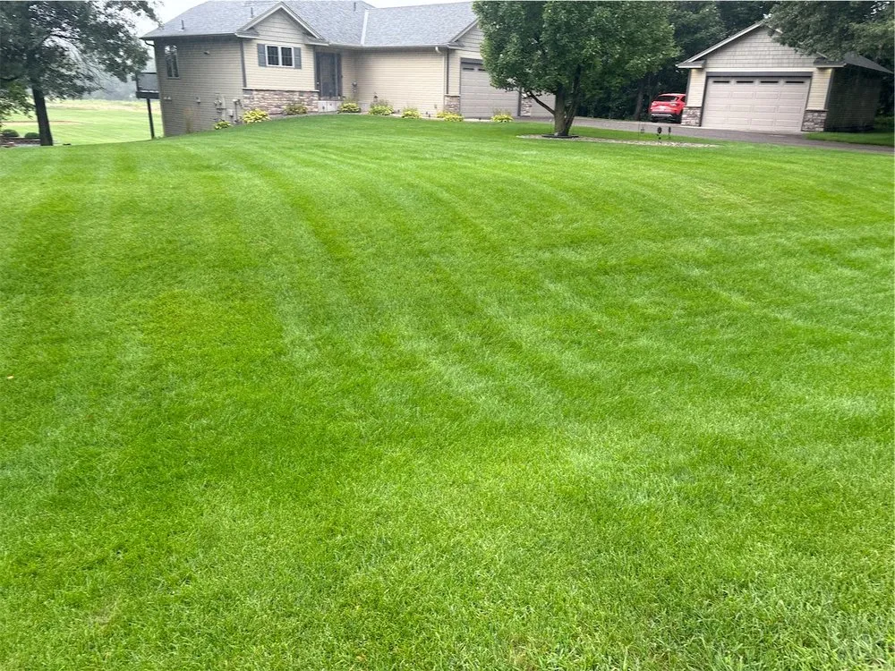 Local lawn mowing service in Minneapolis, MN by Showcase Lawn Care