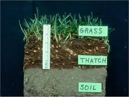 Professional garden landscaping in Minneapolis, MN - Showcase Lawn Care