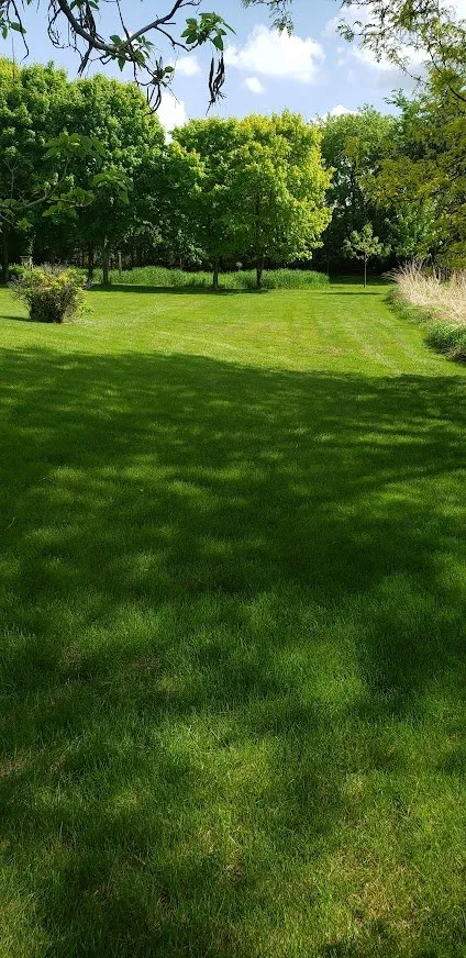 Trusted lawn mowing service with custom design across Minneapolis, MN - Showcase Lawn Care