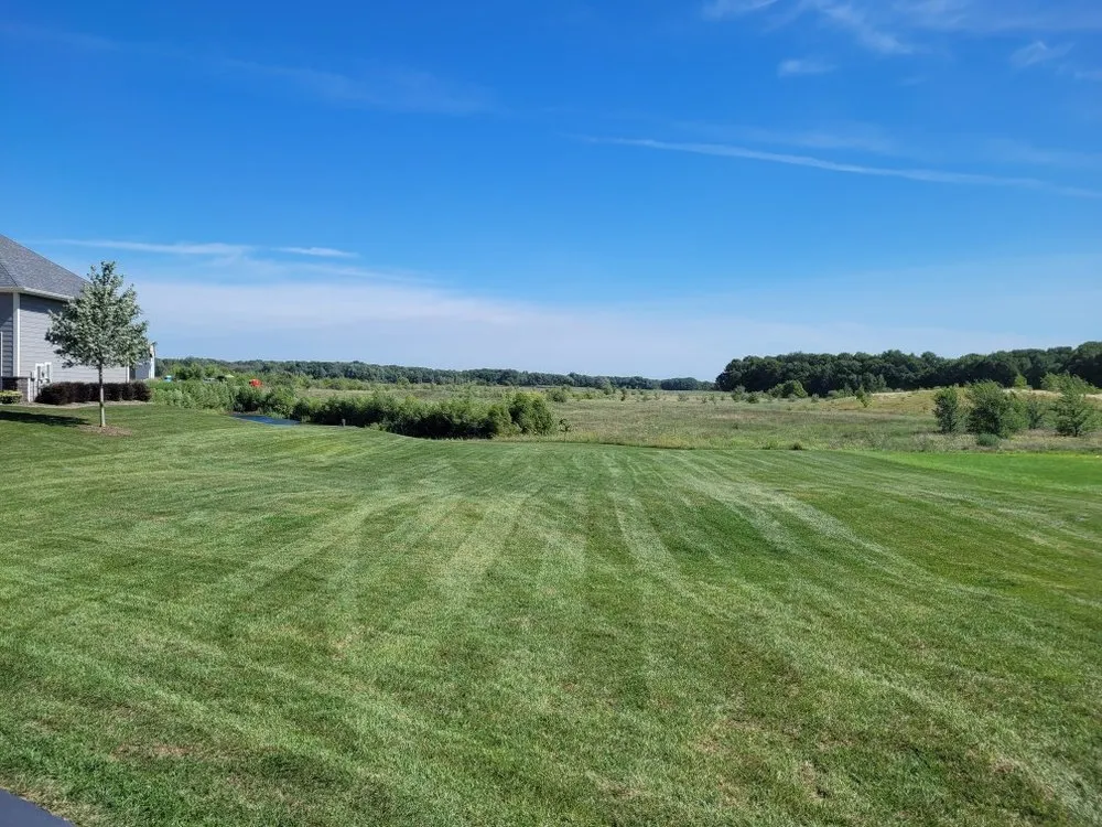 Professional lawn care service for outdoor upgrades in Minneapolis, MN by Showcase Lawn Care