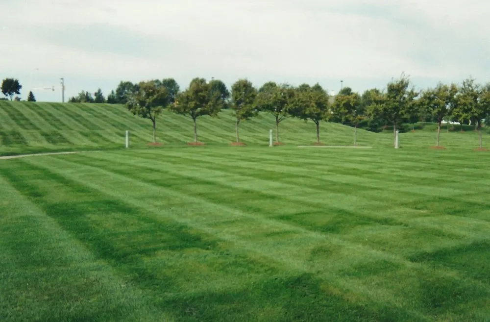 Expert lawn care service in Minneapolis, MN by Showcase Lawn Care