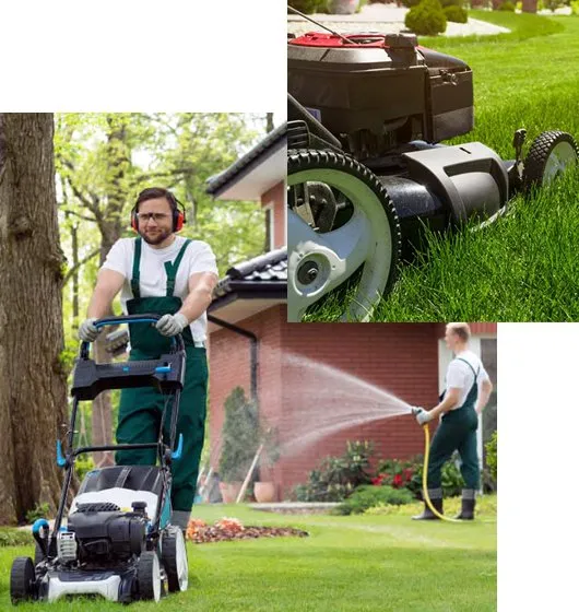 Affordable yard maintenance in Minneapolis, MN - Showcase Lawn Care