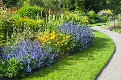 Expert lawn mowing service in Minneapolis, MN - Showcase Lawn Care