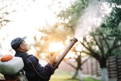 Professional yard cleanup service for residential properties in Minneapolis, MN by Showcase Lawn Care