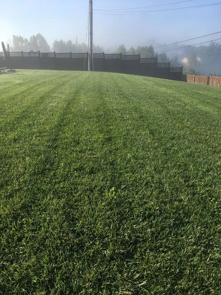 Professional outdoor landscaping in Billings, MO - Showcase Lawns