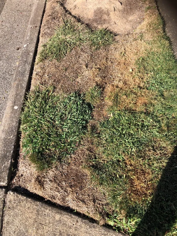 Expert landscaping services near you in Sherwood, OR by Showplace Landscape Services