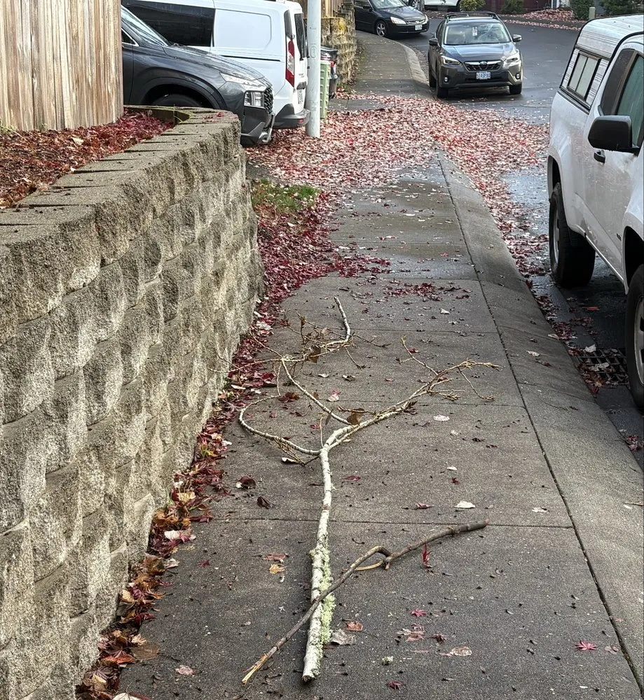 Local garden landscaping in Sherwood, OR by Showplace Landscape Services