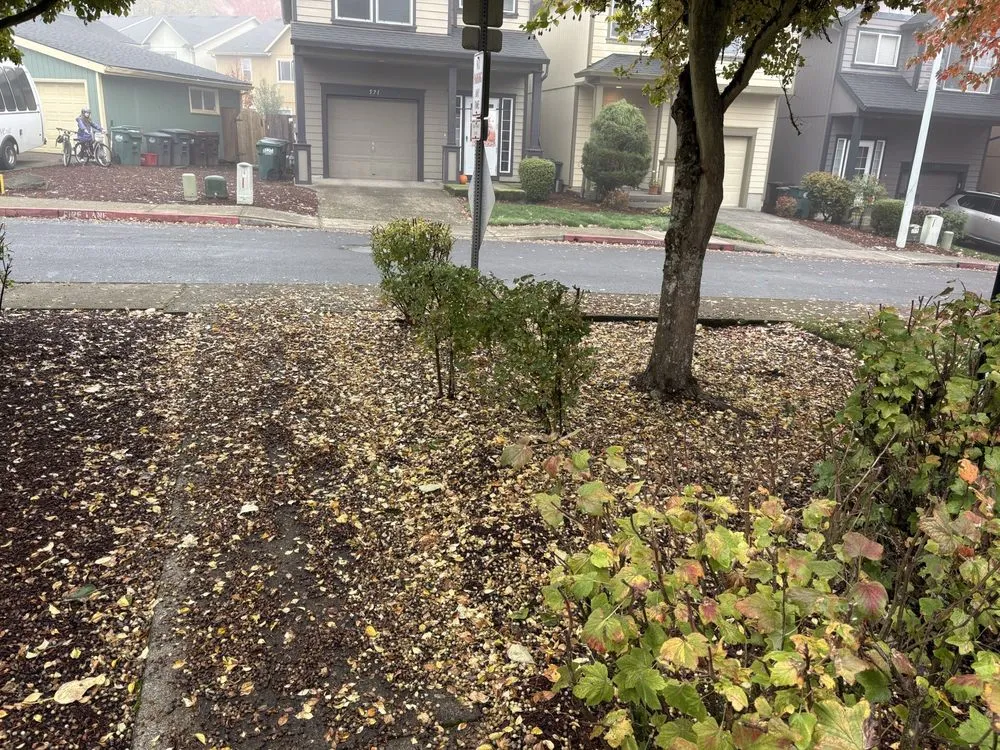 Top-rated residential landscaping experts serving Sherwood, OR - Showplace Landscape Services