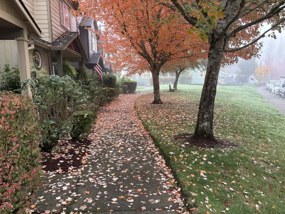Reliable yard maintenance in Sherwood, OR by Showplace Landscape Services