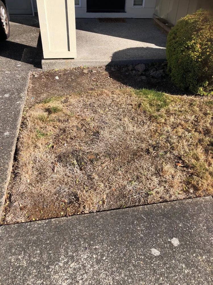 Trusted yard maintenance for outdoor upgrades in Sherwood, OR by Showplace Landscape Services