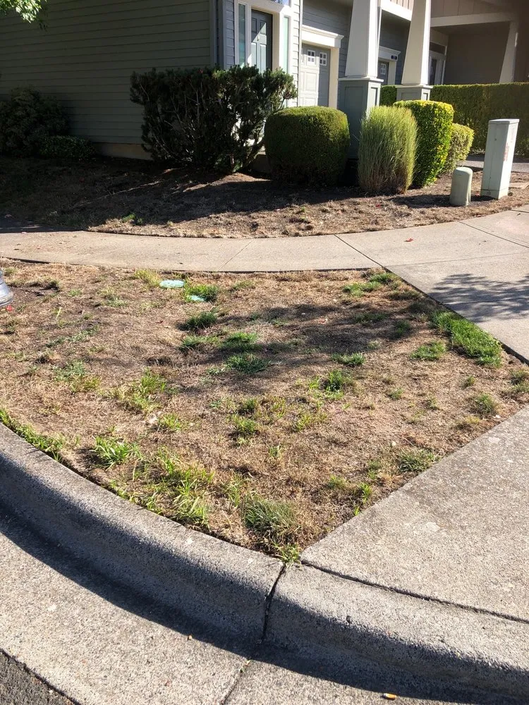 Trusted garden landscaping for residential properties across Sherwood, OR - Showplace Landscape Services