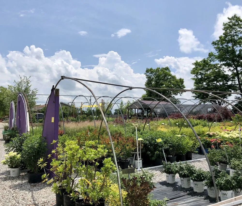 Professional landscape installation experts serving Dry Ridge, KY - Showplace Landscaping, Inc.