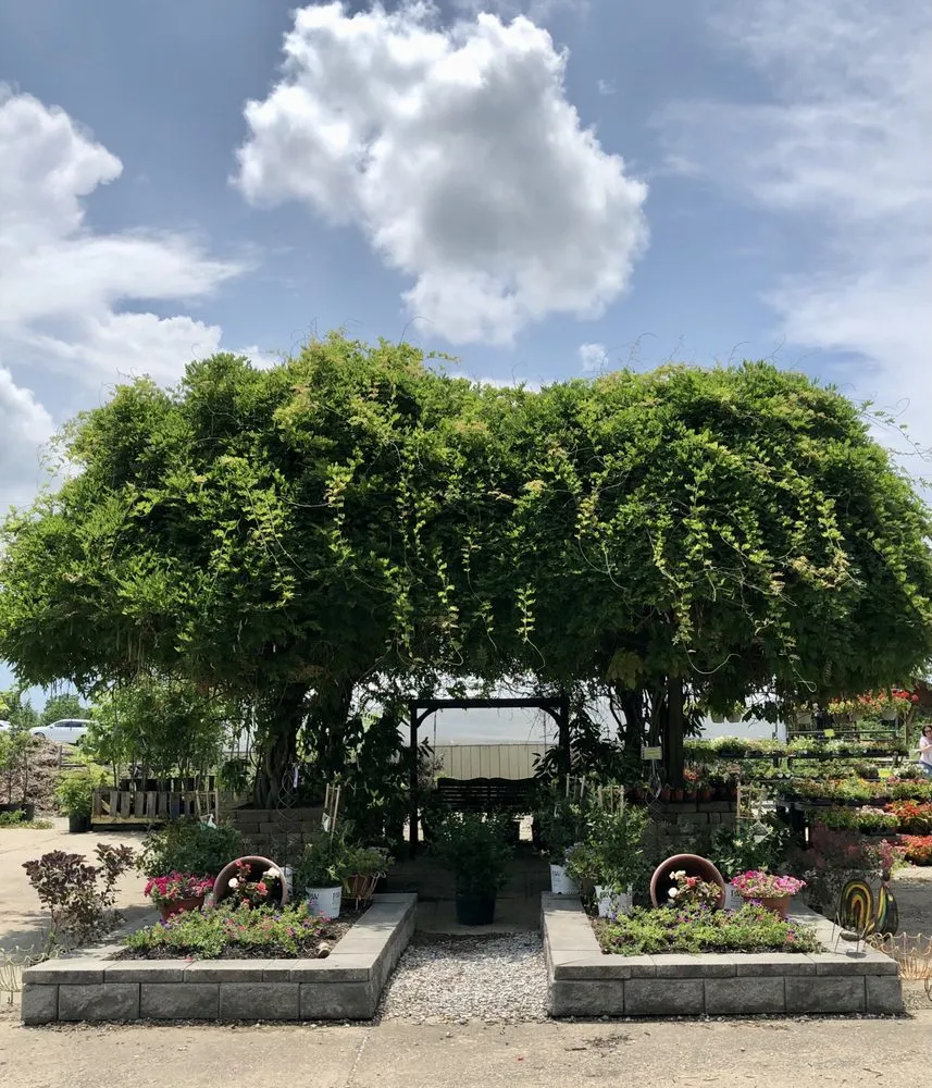 Local yard maintenance experts serving Dry Ridge, KY - Showplace Landscaping, Inc.