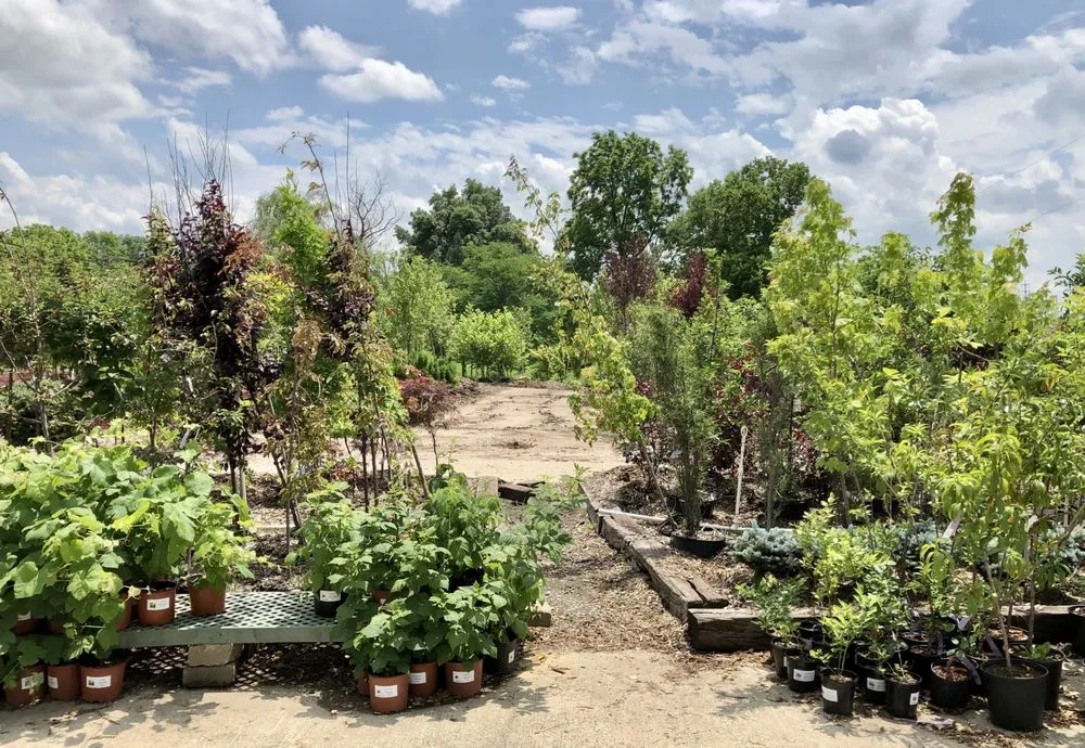 Expert landscape design for homes in Dry Ridge, KY by Showplace Landscaping, Inc.