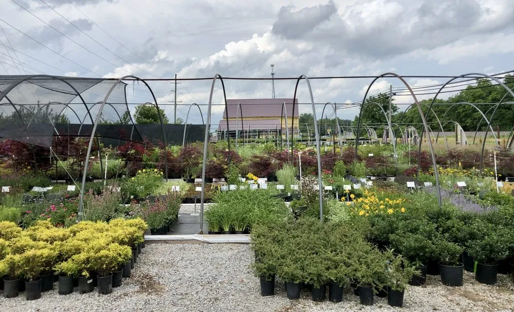 Expert landscaping services in Dry Ridge, KY - Showplace Landscaping, Inc.