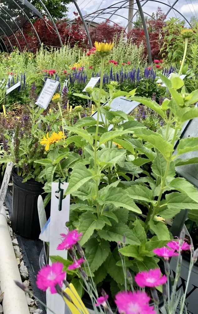 Trusted garden landscaping in Dry Ridge, KY by Showplace Landscaping, Inc.