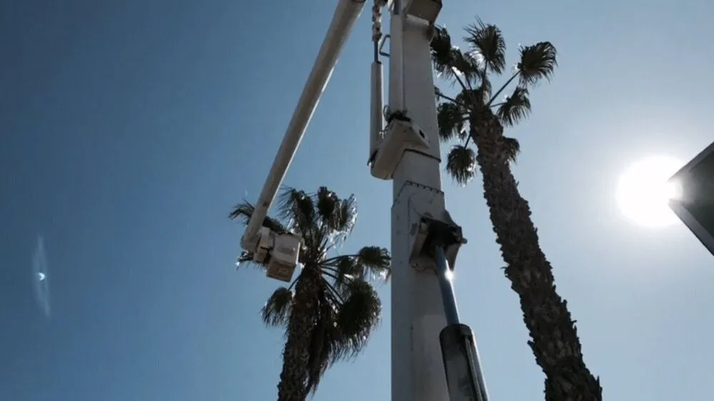 Professional outdoor landscaping in Camarillo, CA by Showscapes & Treescapes