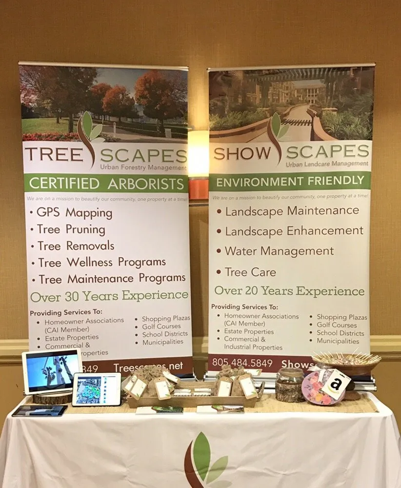 Top-rated landscape design in Camarillo, CA by Showscapes & Treescapes