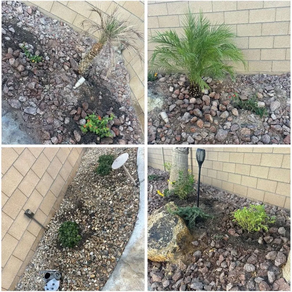 Trusted residential landscaping near you in Bullhead City, AZ by Showtime Landscaping & Maintenance