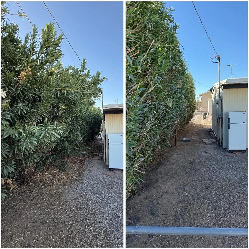 Expert landscape installation experts serving Bullhead City, AZ - Showtime Landscaping & Maintenance