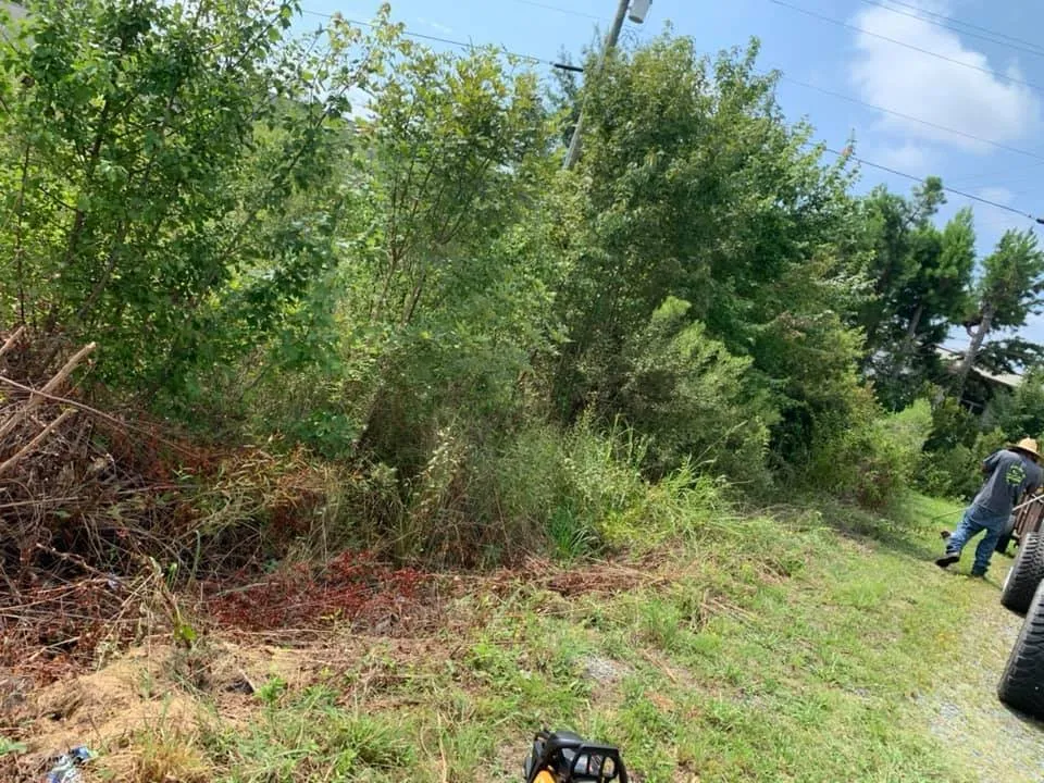 Local residential landscaping experts serving Pageland, SC - Showtime Landscaping