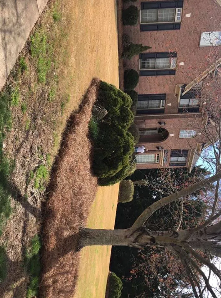 Reliable garden landscaping with custom design in Pageland, SC by Showtime Landscaping