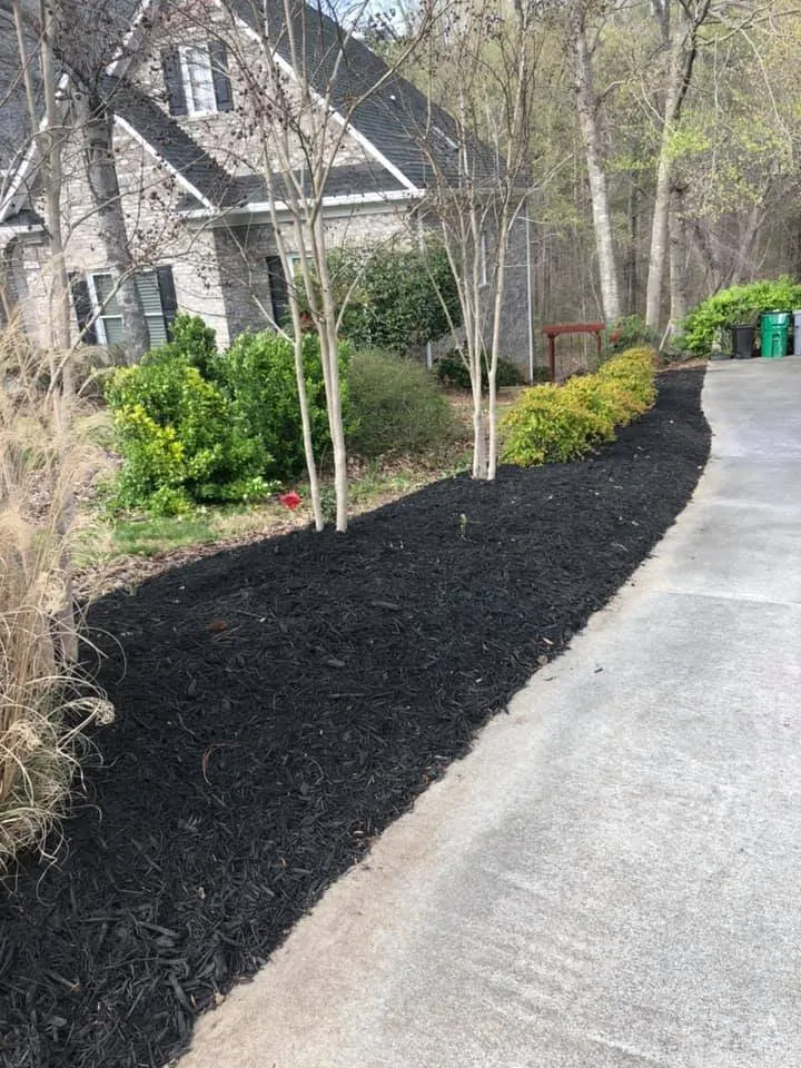 Expert landscaping services near you in Pageland, SC by Showtime Landscaping