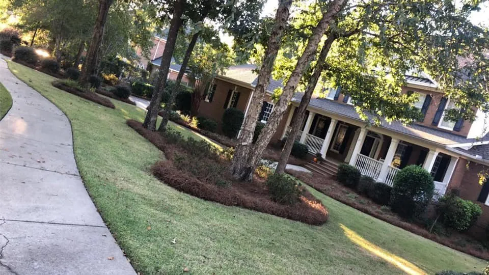 Top-rated yard maintenance experts serving Pageland, SC - Showtime Landscaping