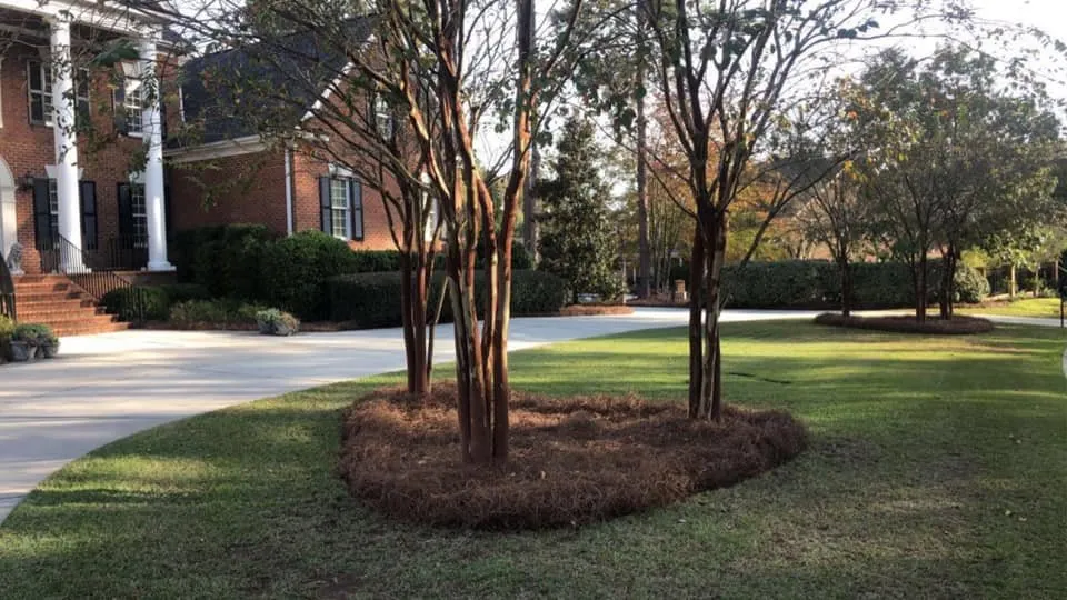 Custom lawn mowing service for homes across Pageland, SC - Showtime Landscaping