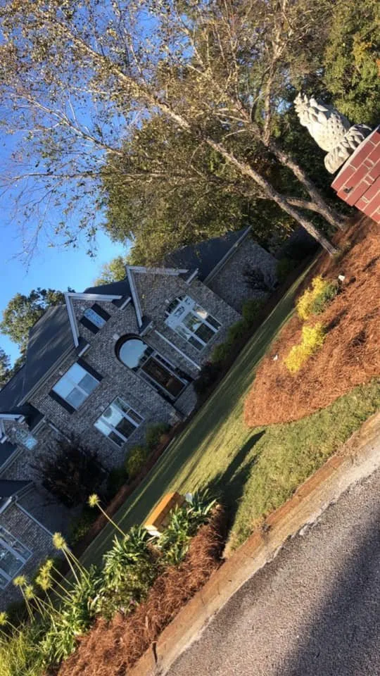 Local landscape installation for beautiful yards in Pageland, SC by Showtime Landscaping