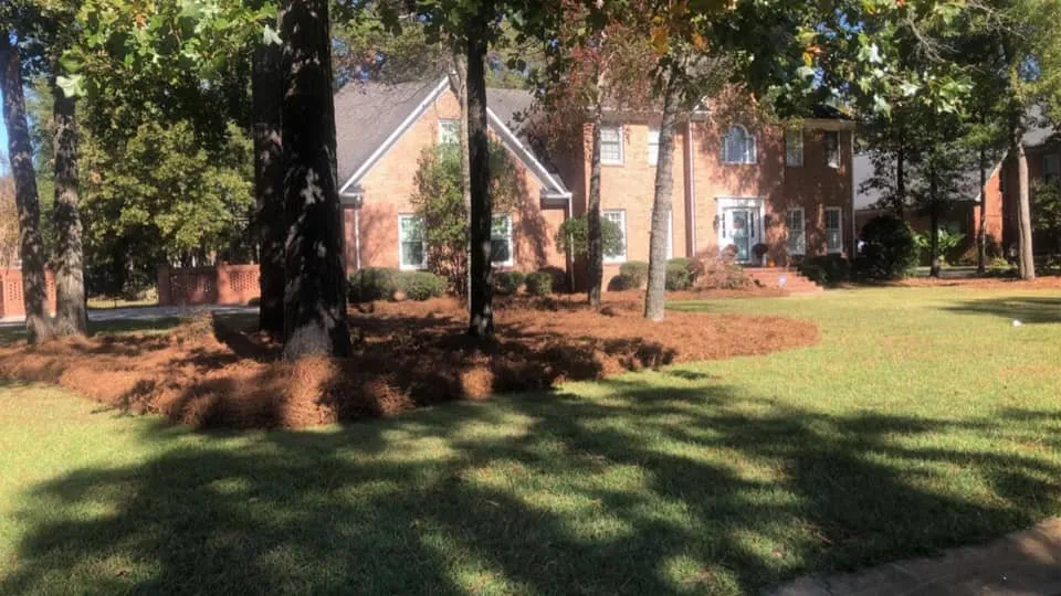 Custom landscape installation for year-round maintenance across Pageland, SC - Showtime Landscaping