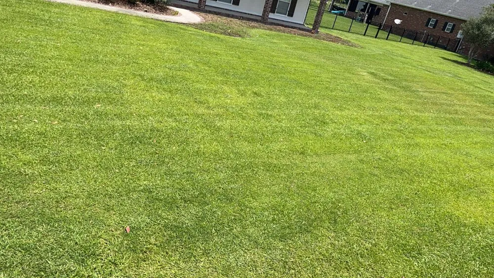 Reliable outdoor landscaping in Raceland, LA by Shred Lawncare & Outdoor Services