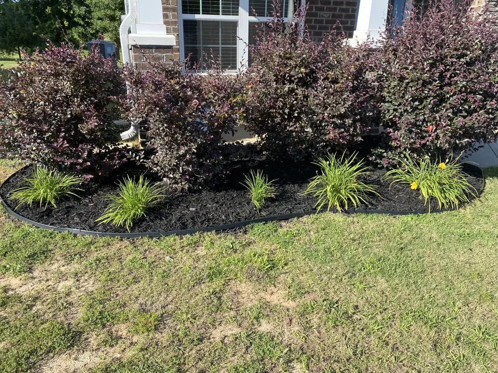 Local lawn care service for beautiful yards in Anderson, SC by Shredders Lawn Care