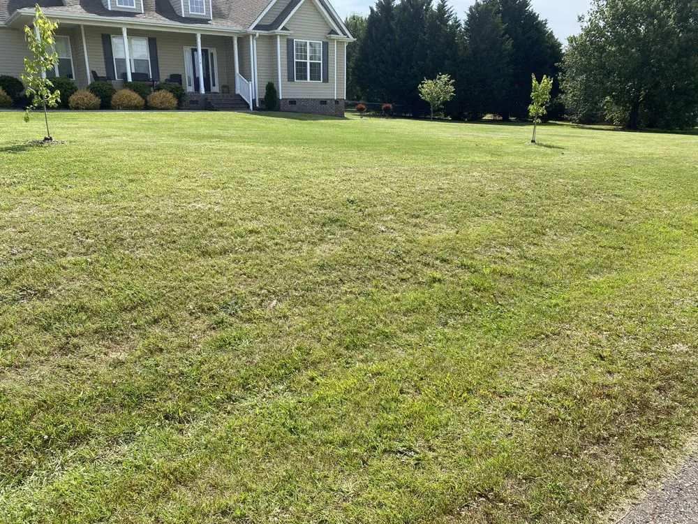 Custom yard maintenance experts serving Anderson, SC - Shredders Lawn Care