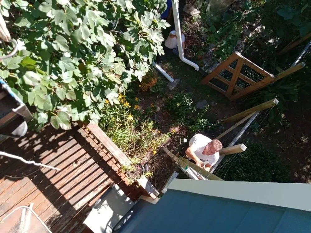 Expert yard cleanup service in Hillsborough, NC by Shreemans Handyman