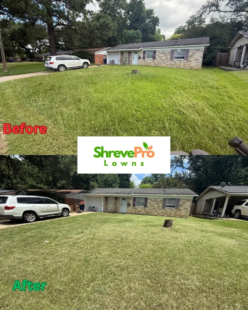 Affordable lawn care service for residential properties in Shreveport, LA by ShrevePro Lawns