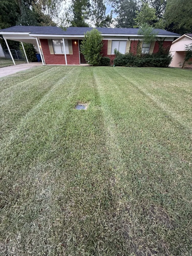 Affordable yard cleanup service in Shreveport, LA - ShrevePro Lawns