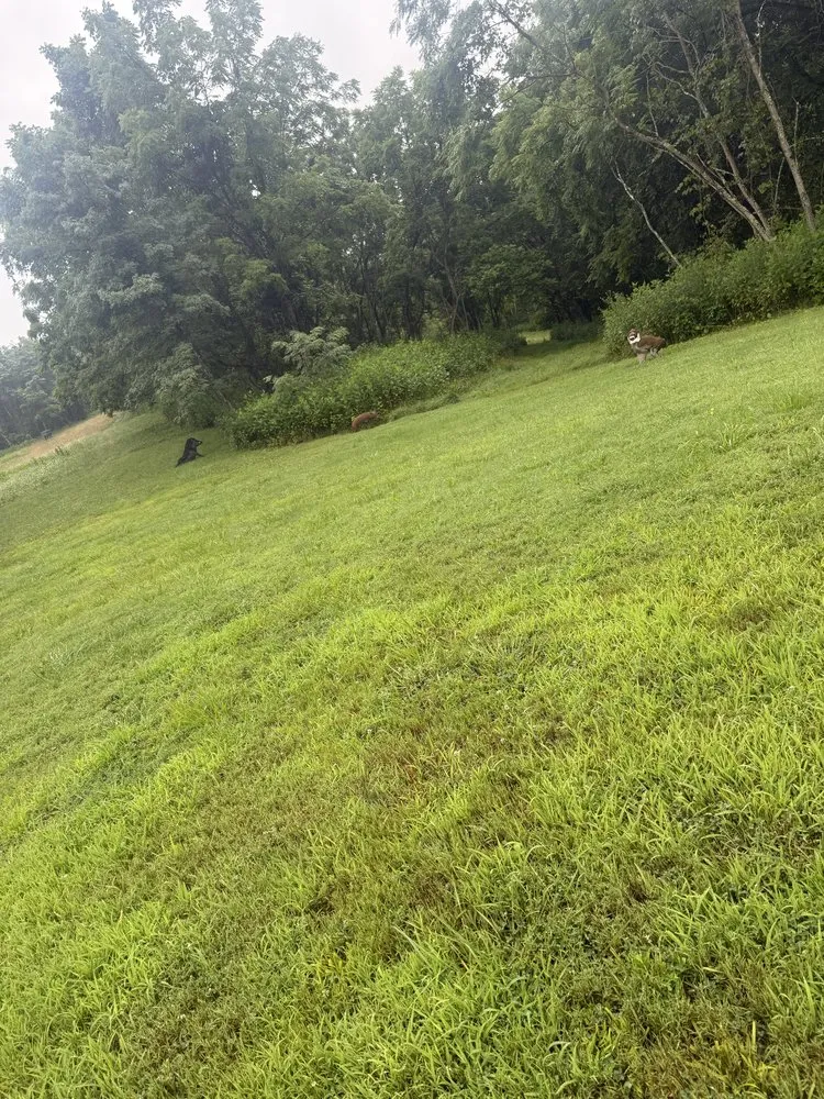 Trusted garden landscaping experts serving Forest Hill, WV - Shrewsbury LawnCare