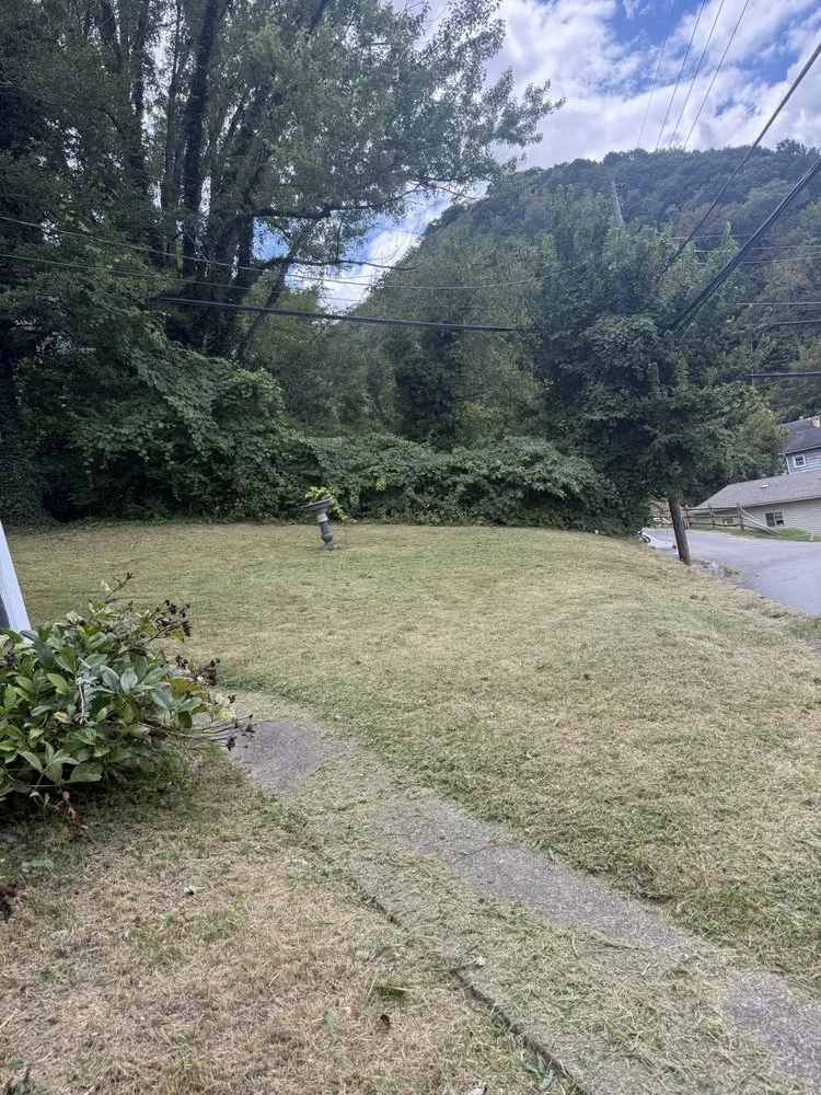 Local landscape installation experts serving Forest Hill, WV - Shrewsbury LawnCare