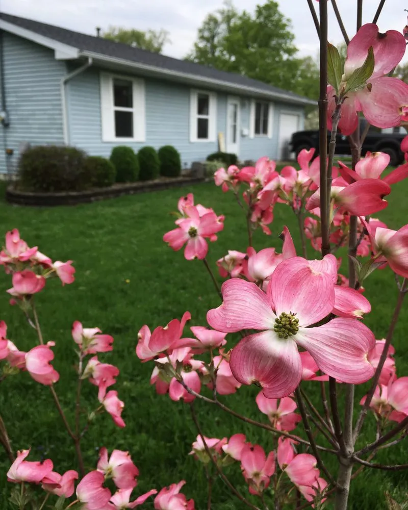 Professional lawn care service for residential properties across Ashland, KY - Shrub Appeal