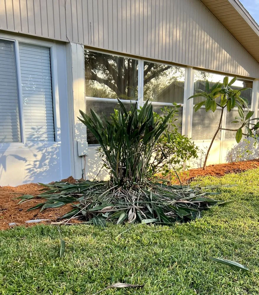 Custom lawn mowing service experts serving Sun City, FL - Shrub Masters