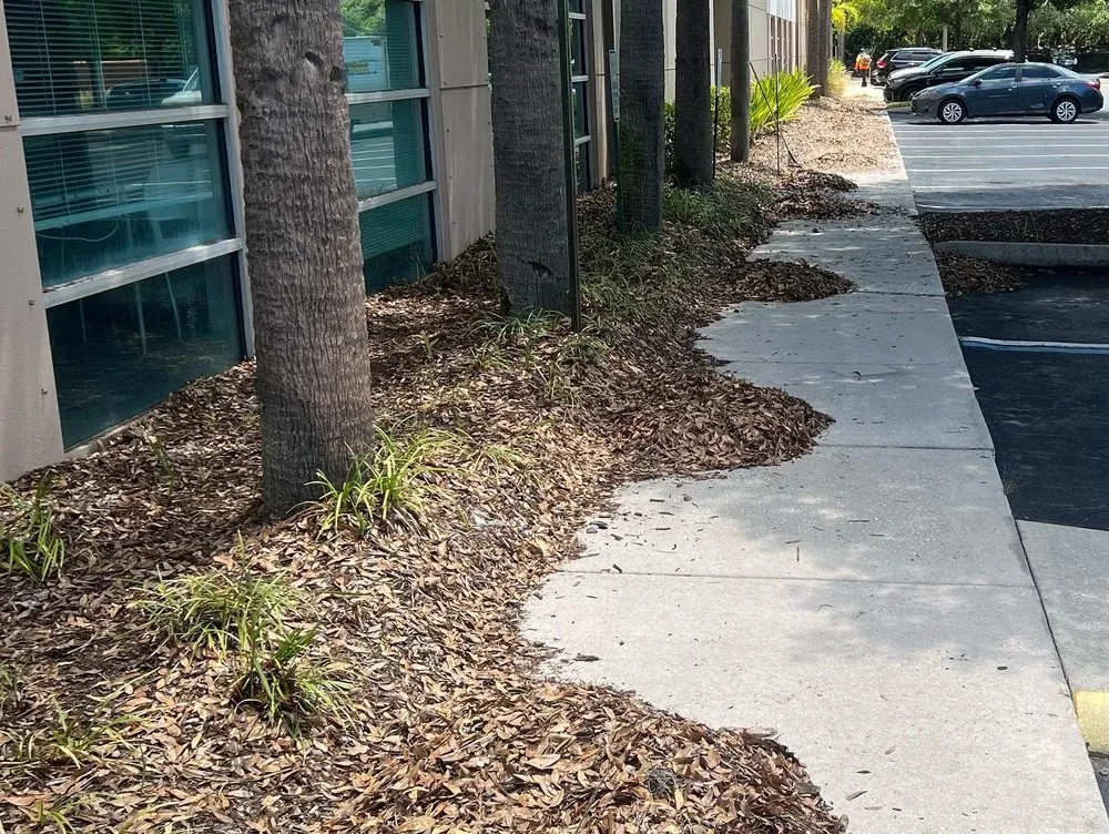 Expert landscape installation in Sun City, FL by Shrub Masters