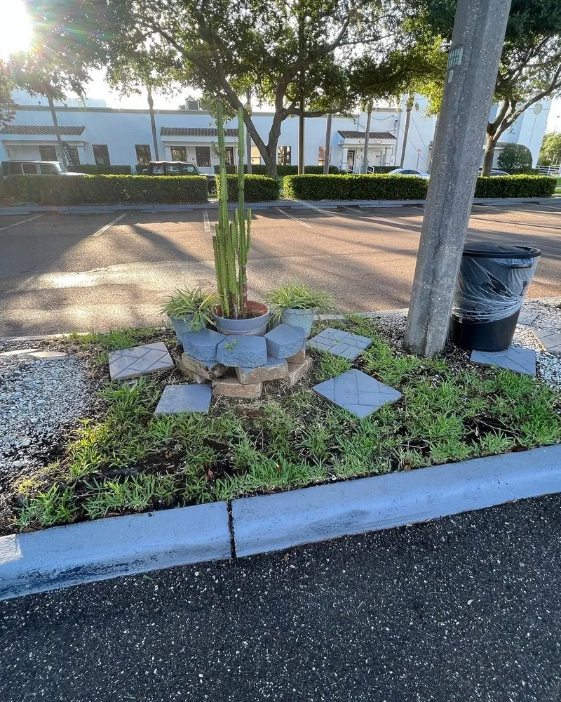 Trusted lawn care service for year-round maintenance across Sun City, FL - Shrub Masters