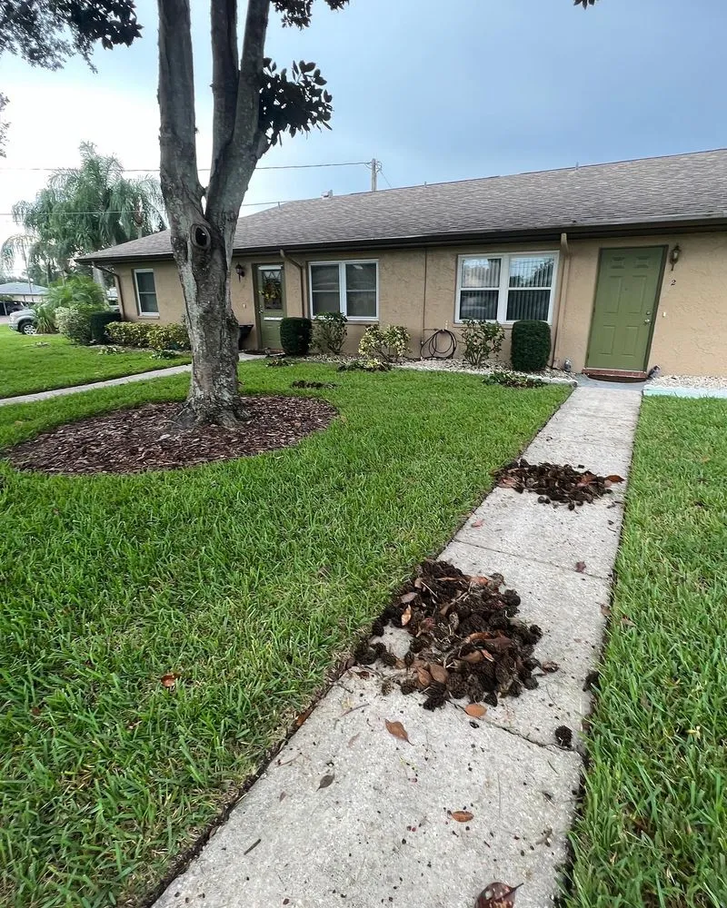 Expert garden landscaping in Sun City, FL by Shrub Masters