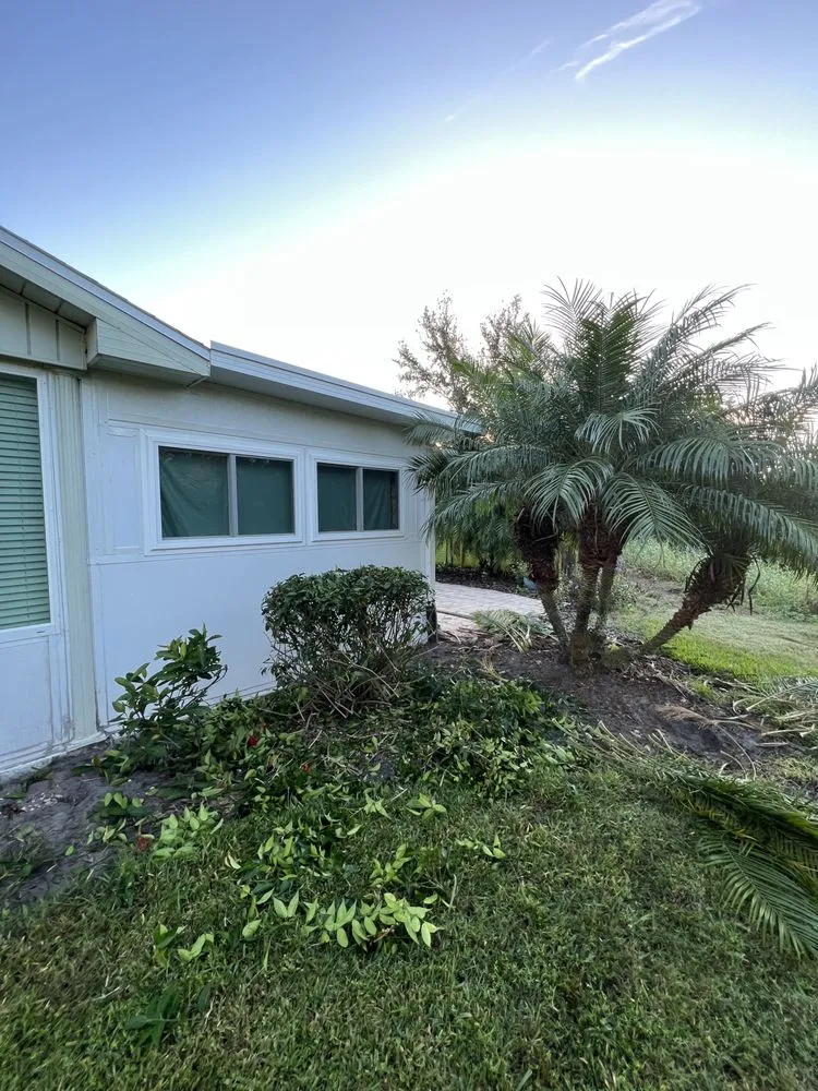 Professional outdoor landscaping in Sun City, FL - Shrub Masters