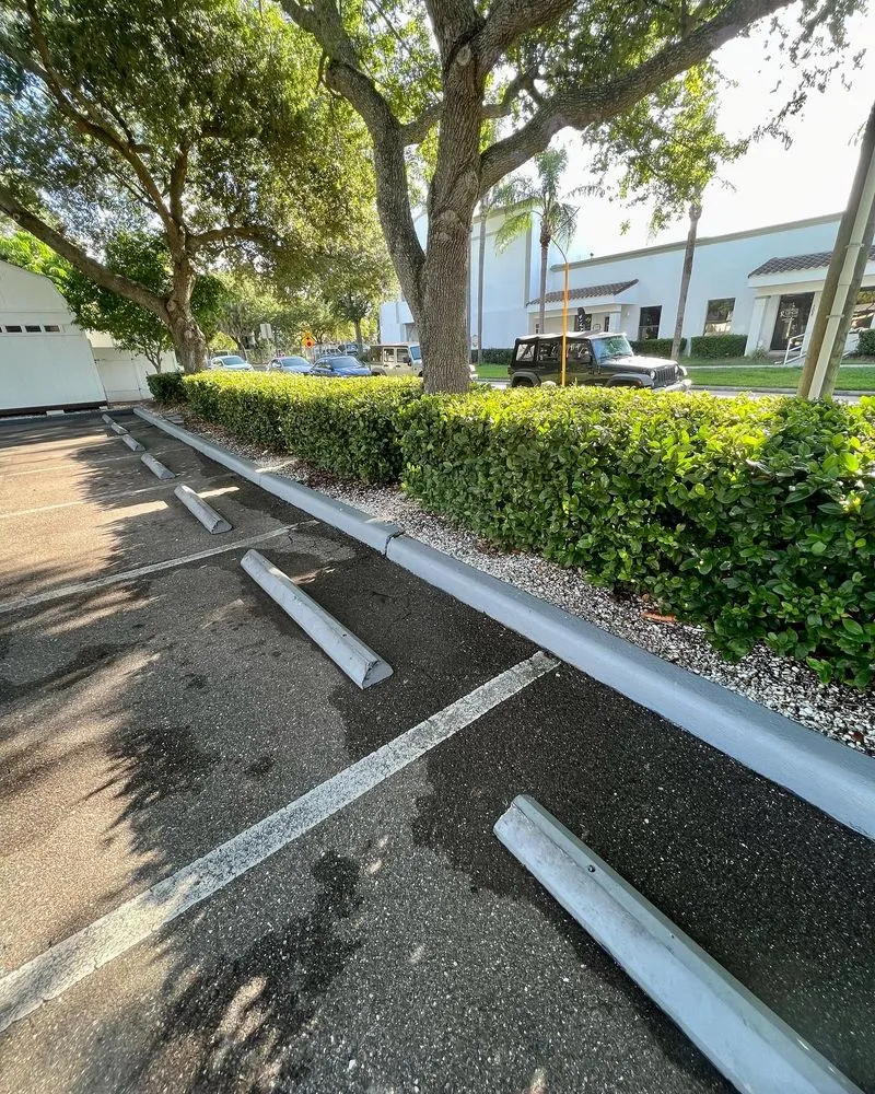 Reliable landscape installation experts serving Sun City, FL - Shrub Masters