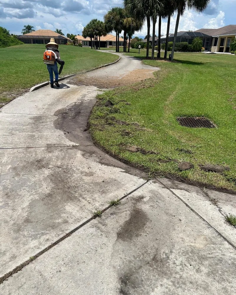 Local yard maintenance in Sun City, FL - Shrub Masters