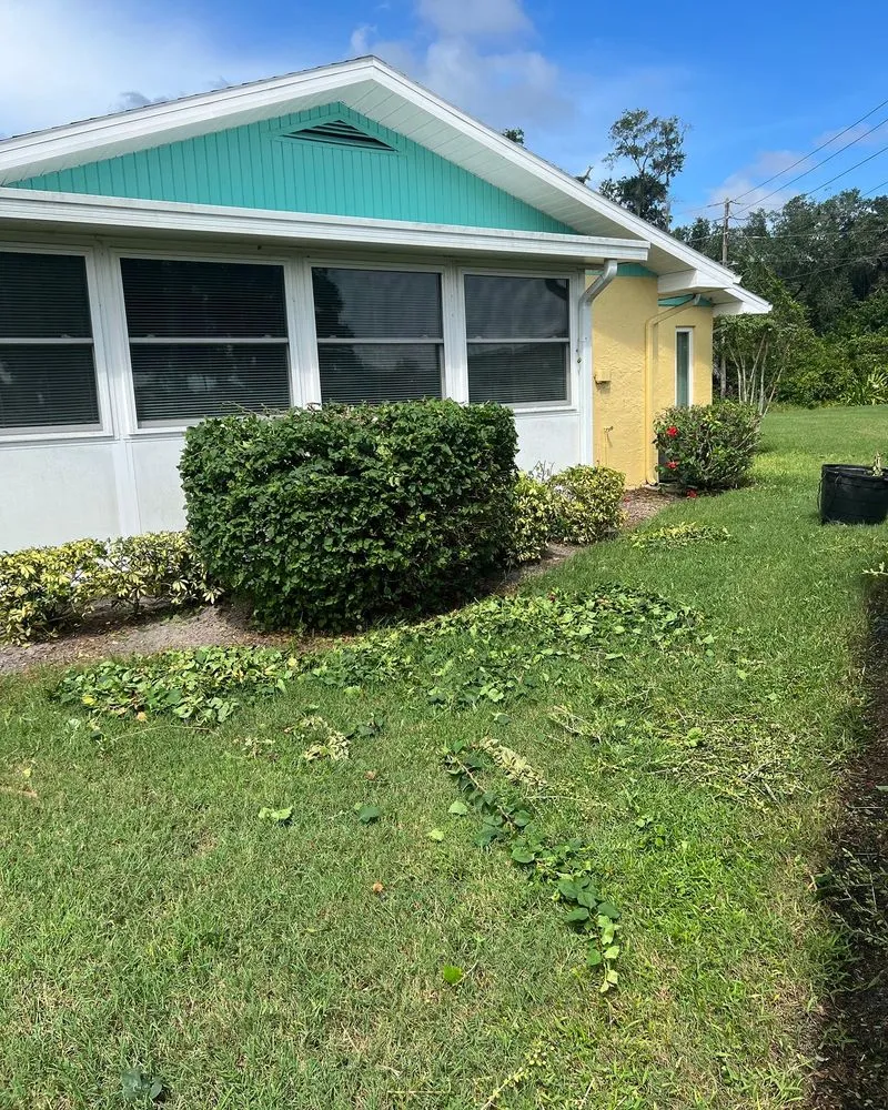 Trusted yard cleanup service in Sun City, FL - Shrub Masters