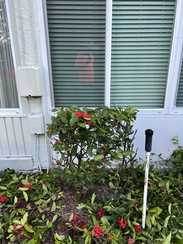 Reliable landscaping services in Sun City, FL - Shrub Masters