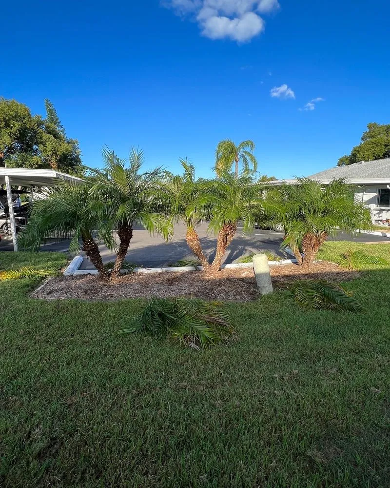Top-rated lawn care service in Sun City, FL by Shrub Masters